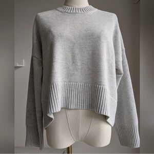 Everlane The Boxy Sweater